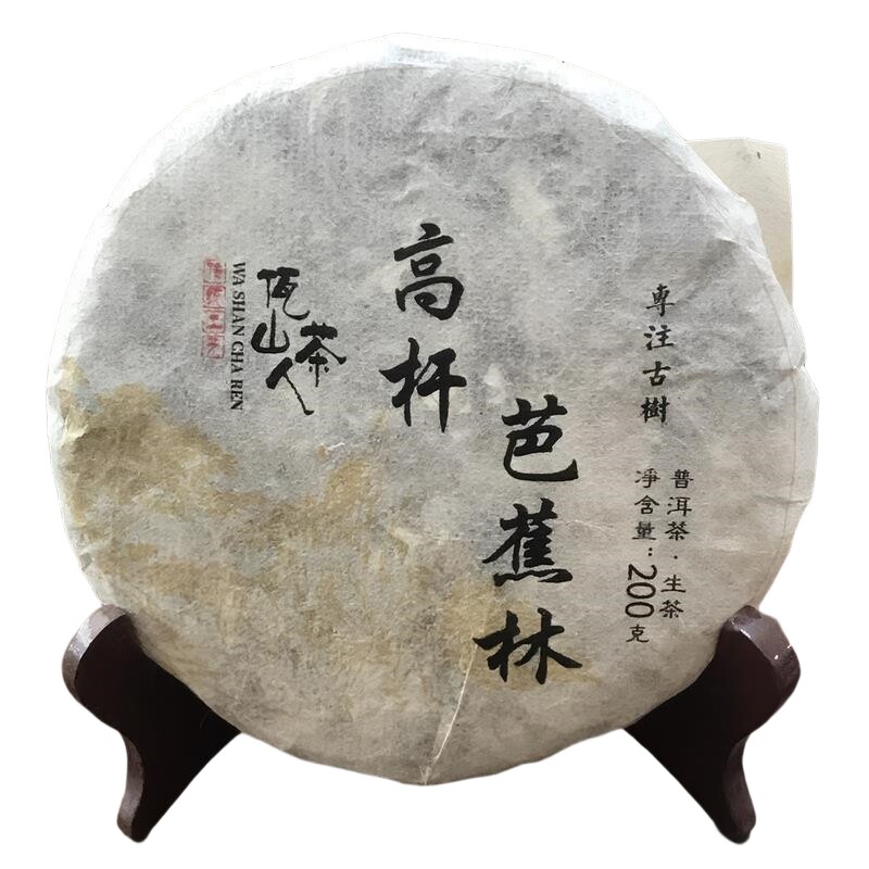 易武芭蕉林挑采一类高杆古树生茶