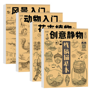 花卉植物 创意静物 风景动物恐龙入门 手绘线稿描摹临摹素材兴趣美术绘画画启蒙趣味涂色新手初学自学基础控笔画册插画