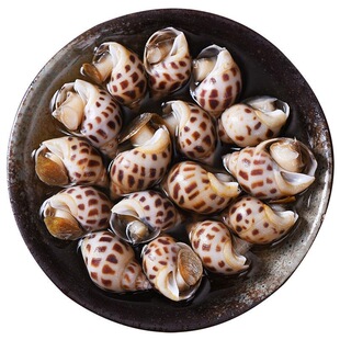 花螺新鲜冷冻野生小海螺速冻小香螺鲜冻水产特大号螺贝类海鲜顺丰