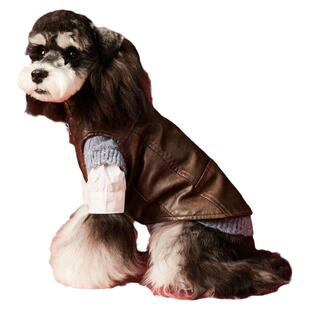 宠物小狗狗衣服秋款马甲背心雪纳瑞泰迪吉娃娃约克夏猫咪皮衣夹克