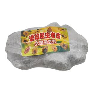 新款考古挖掘化石琥珀昆虫标本盲盒男女孩手工寻宝石宝藏儿童玩具