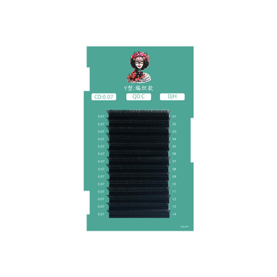 y型睫毛编织款网状山茶花种植