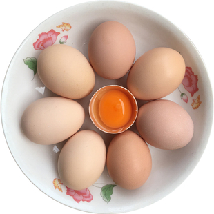 正宗农家野外散养土鸡蛋新鲜五谷笨鸡蛋农村自养九华山初生蛋40枚