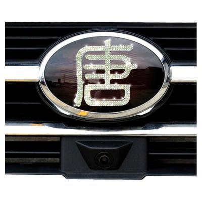 适用比亚迪dm中网车标钻石