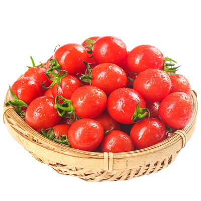 圣女果小番茄新鲜现摘