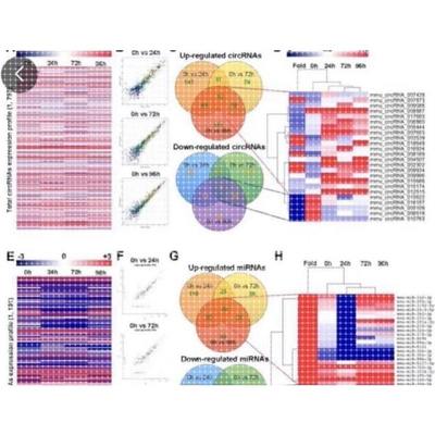 个人】r语言报告实证分析代码作图画图可视化生信医学临床生物