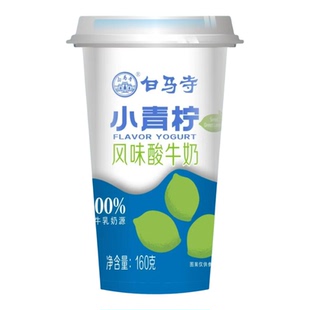 河南白马寺新口味小青柠杯装酸牛奶经典原味无蔗糖160g杯低温酸奶