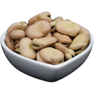 甘肃生的干蚕豆干货2025年农家兰花豆新鲜胡豆种子原味特大蚕豆种