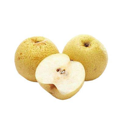 正宗砀山梨百年老树梨子顺丰速发