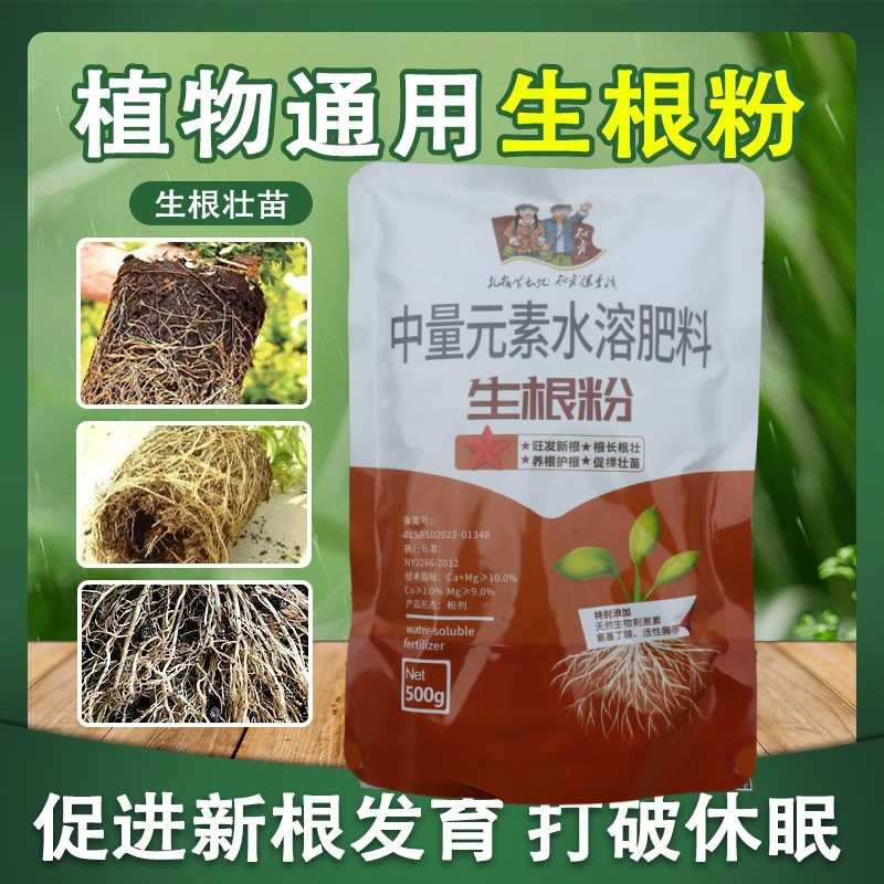 植物快速生根粉树木生根发根液通用扦插果树剂花卉大树移栽剂生根