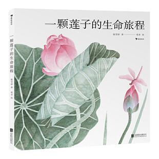 当当网正版童书一颗莲子的生命旅程2022文津图书奖推荐国画绘出莲的生命轮回细品中国莲文化5-6-7-8岁