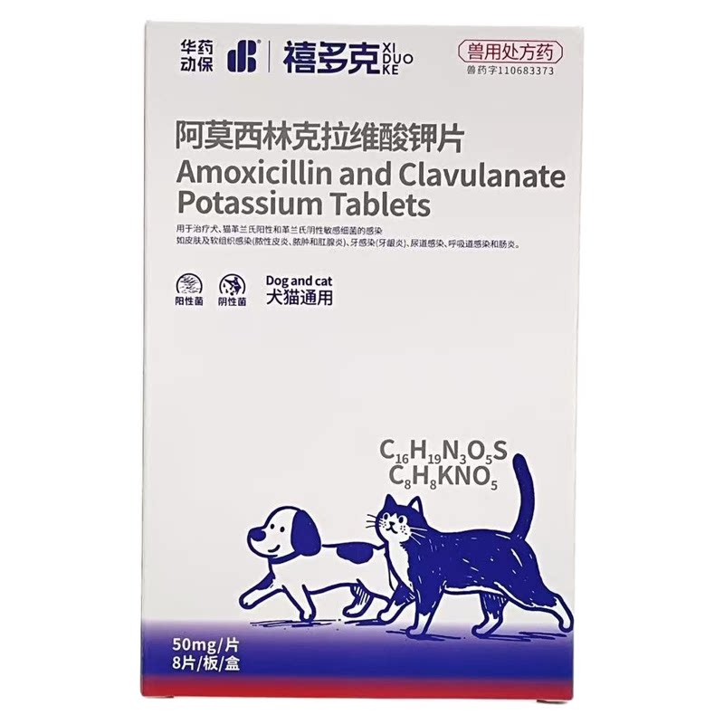 回盛犬猫皮肤脓皮症疱疹泌尿感染