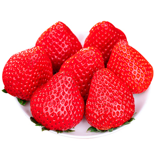 正宗丹东草莓99新鲜红颜东港牛奶奶油当季九九大草莓年货水果礼盒