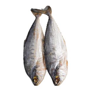 北海马鲛鱼干新鲜淡晒咸鱼海鱼干货整条鲅鱼干风干梅香鱼干干货