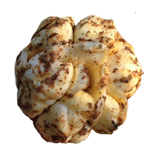 2025年挖破或过小完整新鲜食用百合2500g宜兴农家土特产2斤散装