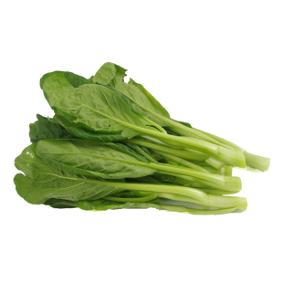 连州菜心种孑广东甜菜心菜籽早熟迟菜薹种子四九菜苔种籽四季蔬菜