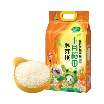 十月稻田胚芽米5斤东北大米
