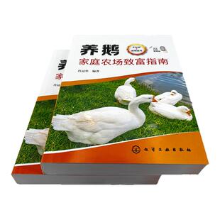 养鹅家庭农场致富指南 生态养鹅家庭农场兴办致富技术指导书 日常饲养管理饲料保障疾病防控家庭农场经营管理书籍