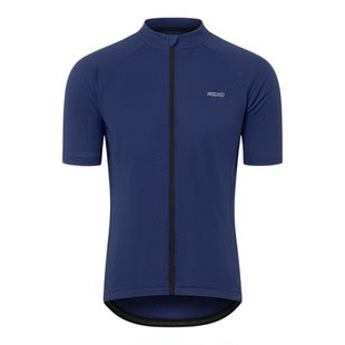 艾速欧新款骑行服男夏季自行车骑行短袖速干透气山地车公路车上衣