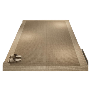 入户门地垫2025新款高级感进门地毯门口家用门垫玄关脚垫可裁剪