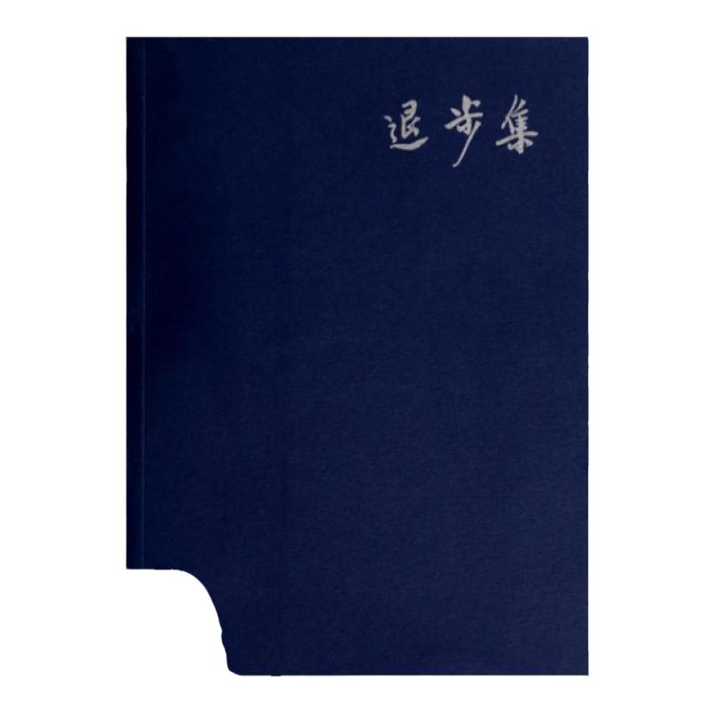 【陈丹青的书4册】 退步集+退步集续编+荒废集+草草集 杂文随笔书籍 广西师范大学出版社 木心全集 文学回忆录书籍 9787563351398