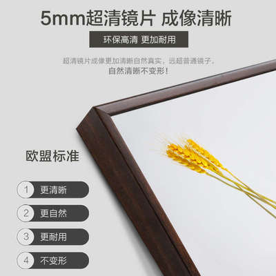 伯仑穿衣镜子全身镜贴墙卧室壁挂大镜子试衣镜支架简约现代落地镜