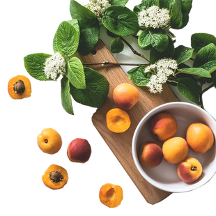 维生素ABCDEK浓度检测10项 维生素检测 所有维生素B浓度检测