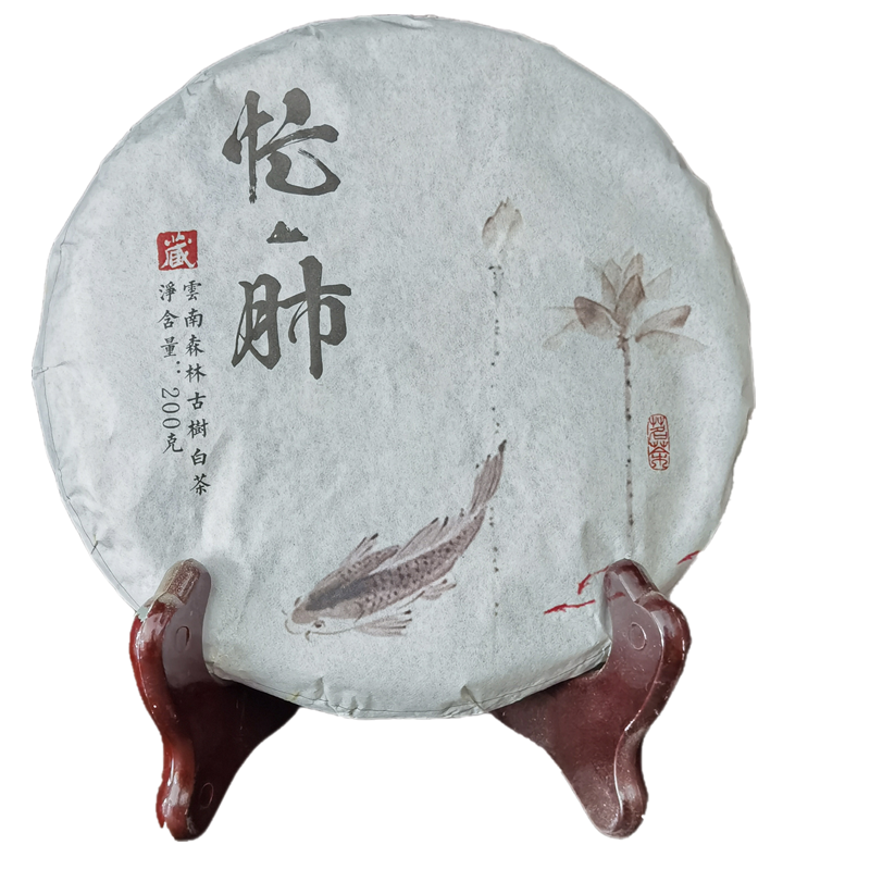 大叶醇白茶忙肺大叶种茶