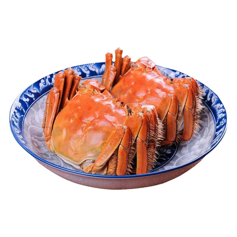 正宗盘锦河蟹包邮全母河蟹