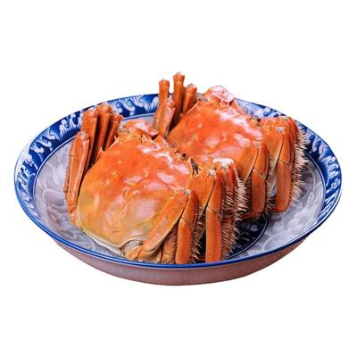 正宗盘锦河蟹包邮全母河蟹