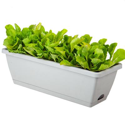 长形塑料花盆阳台种菜草莓盆加厚