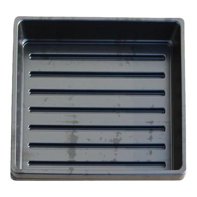 水培育苗盘配有育苗海绵100棵苗