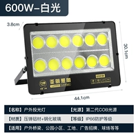 Golden Diamond Project-600W-Zhengbai