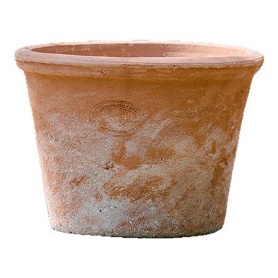 红陶花盆粗陶陶土透气绿植多扦插