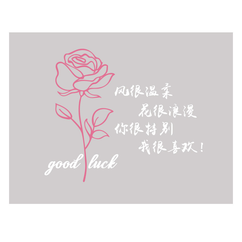 玫瑰花墙面网红打卡拍照区布置形象户外民宿小院氛围感装饰造背景