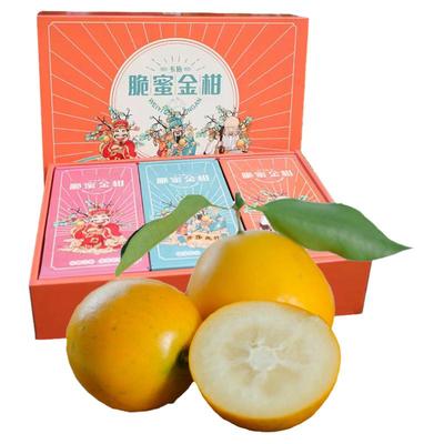 融安脆蜜金柑第3代金桔冰糖心