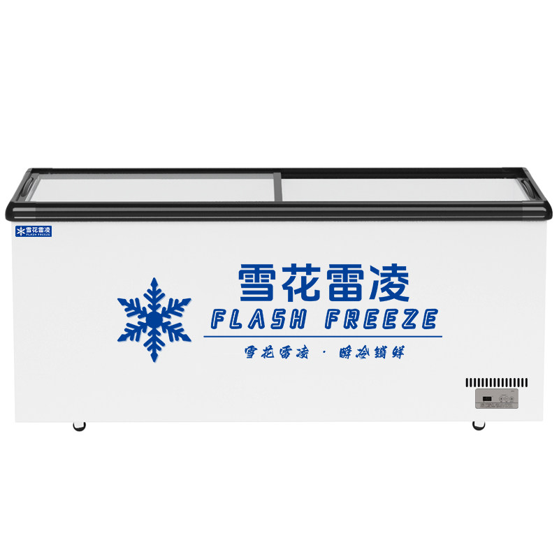 雪花雪糕冰柜商用冷冻冷藏展示柜