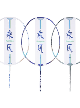 薰风碳素球拍超轻业余初级选手