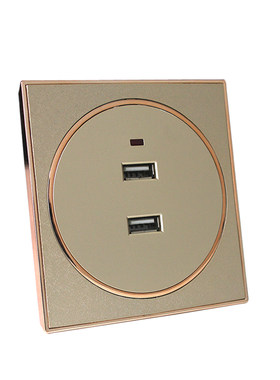 86香槟金船房车usb36v二孔插座