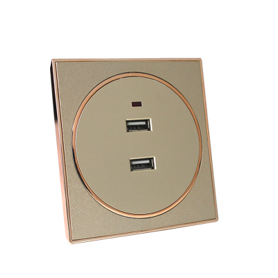 86香槟金船房车usb36v二孔插座