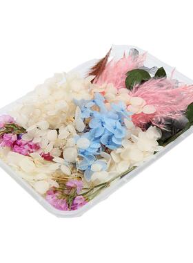 永生花雏菊满天星幼儿园手工diy