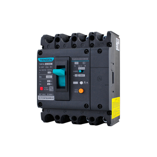 TENGEN天正TGM1NL-160A塑壳漏电断路器 三相四线漏电开关总闸160A