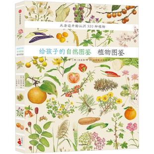 给孩子的自然图鉴 沈兆媛著 动植物生命形态科学认知自然手绘感受力伴侣书 锻炼孩子认知自然的思维力中信出版