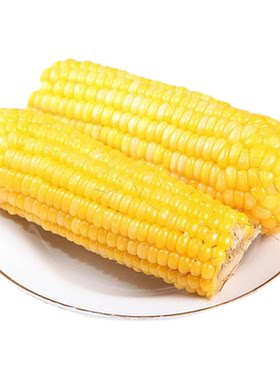 真空传统老式笨玉米即食