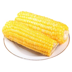 真空传统老式笨玉米即食10根山东农家免蒸煮熟西沂州代餐健身