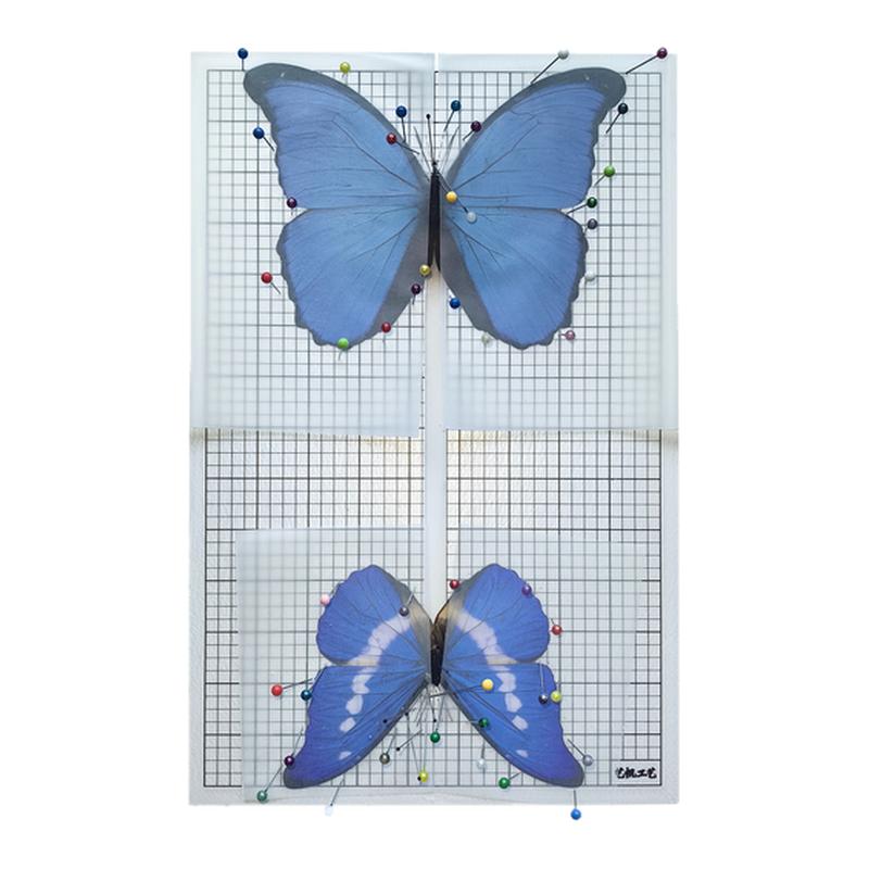 蝴蝶标本展翅板固定昆虫标本插针整姿DIY制作工具材料包学生校园