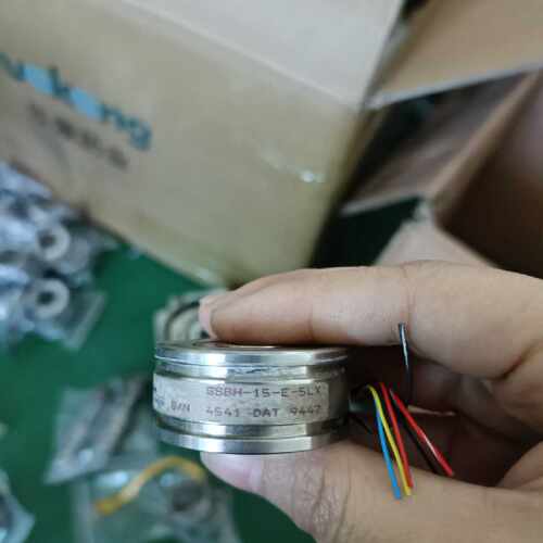 议价SSBH-15-E-5LX编码器现货