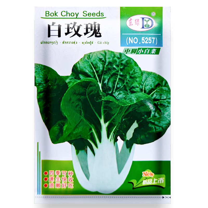 白玫瑰小白菜种子奶油白菜籽耐热青梗菜春夏秋冬季播农家蔬菜种孑