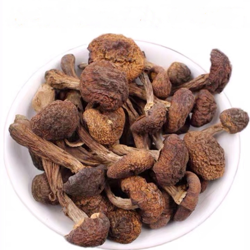 長(zhǎng)白山野生榛蘑丁500g小雞燉蘑菇