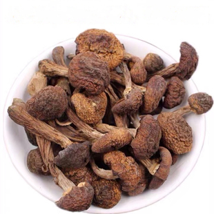 东北特产野生榛蘑丁干货500g小鸡炖蘑菇长白山香菇头无根菌菇新货